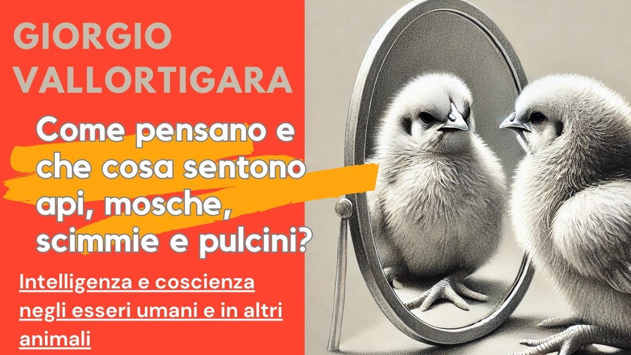 Come pensano e che cosa sentono api, mosche, scimmie e pulcini?